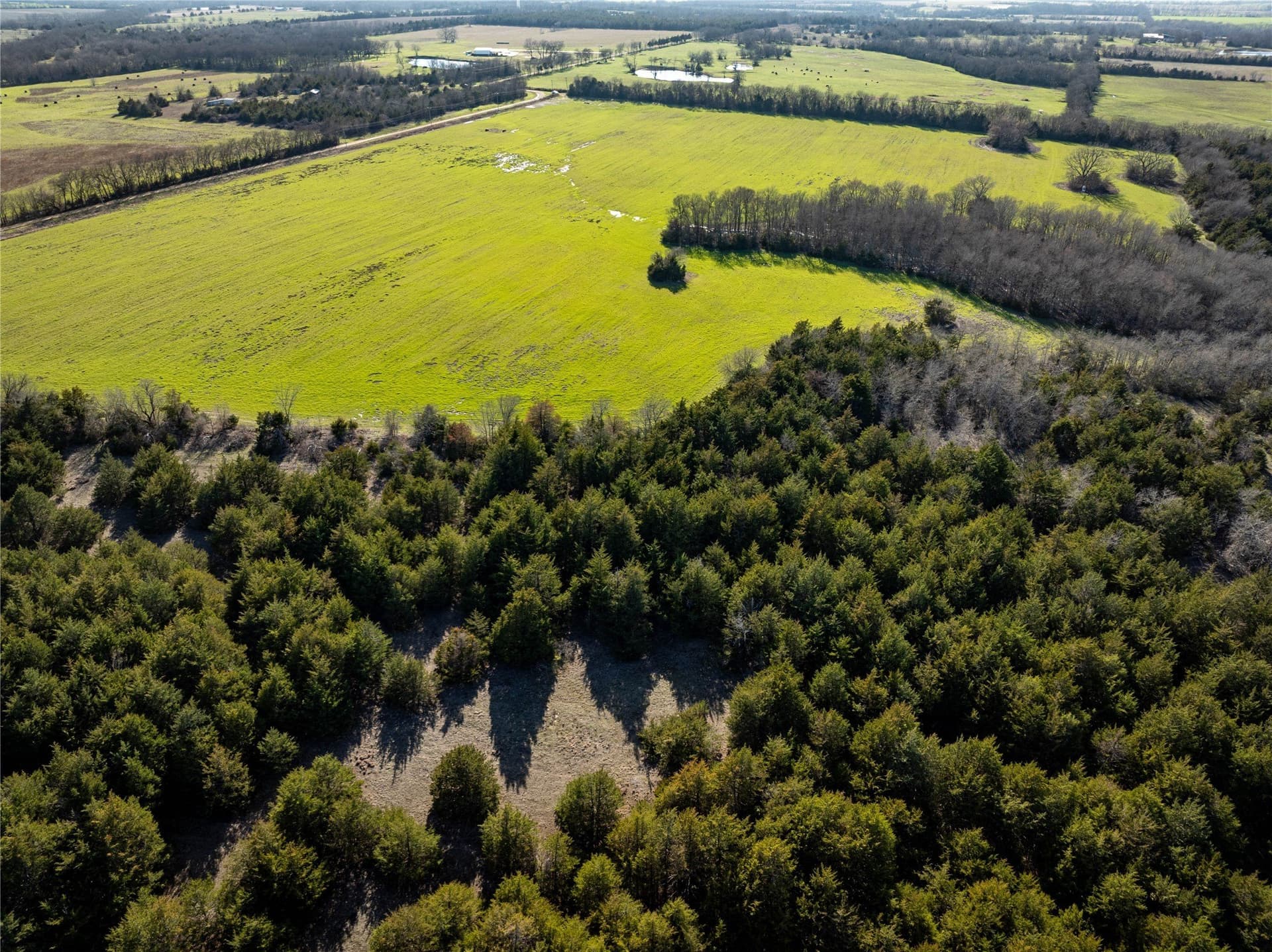 60 acres in Lamar County - photo 12