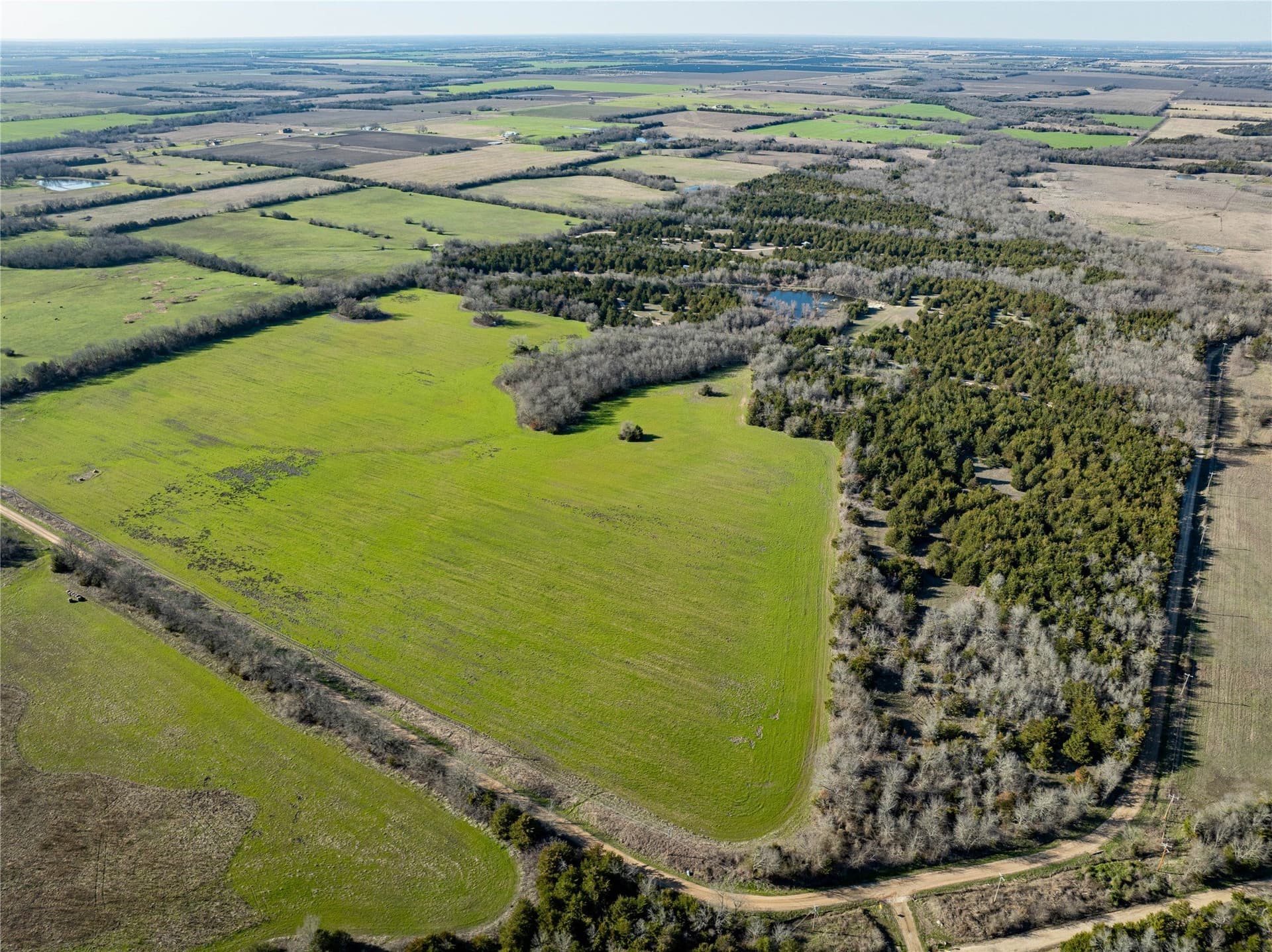 60 acres in Lamar County - photo 8