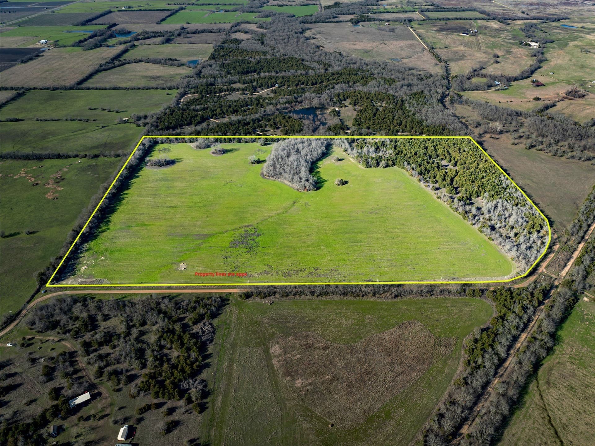 60 acres in Lamar County - photo 3