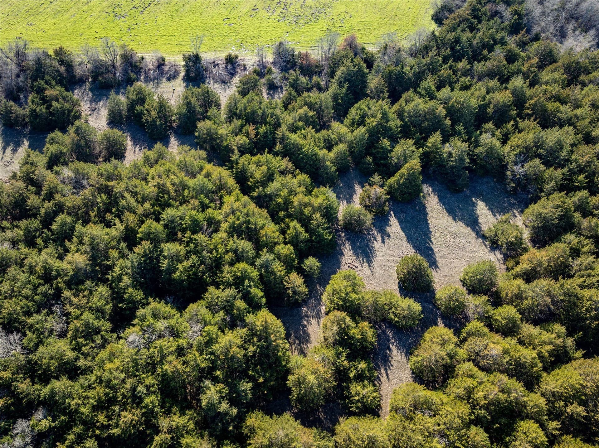 60 acres in Lamar County - photo 11