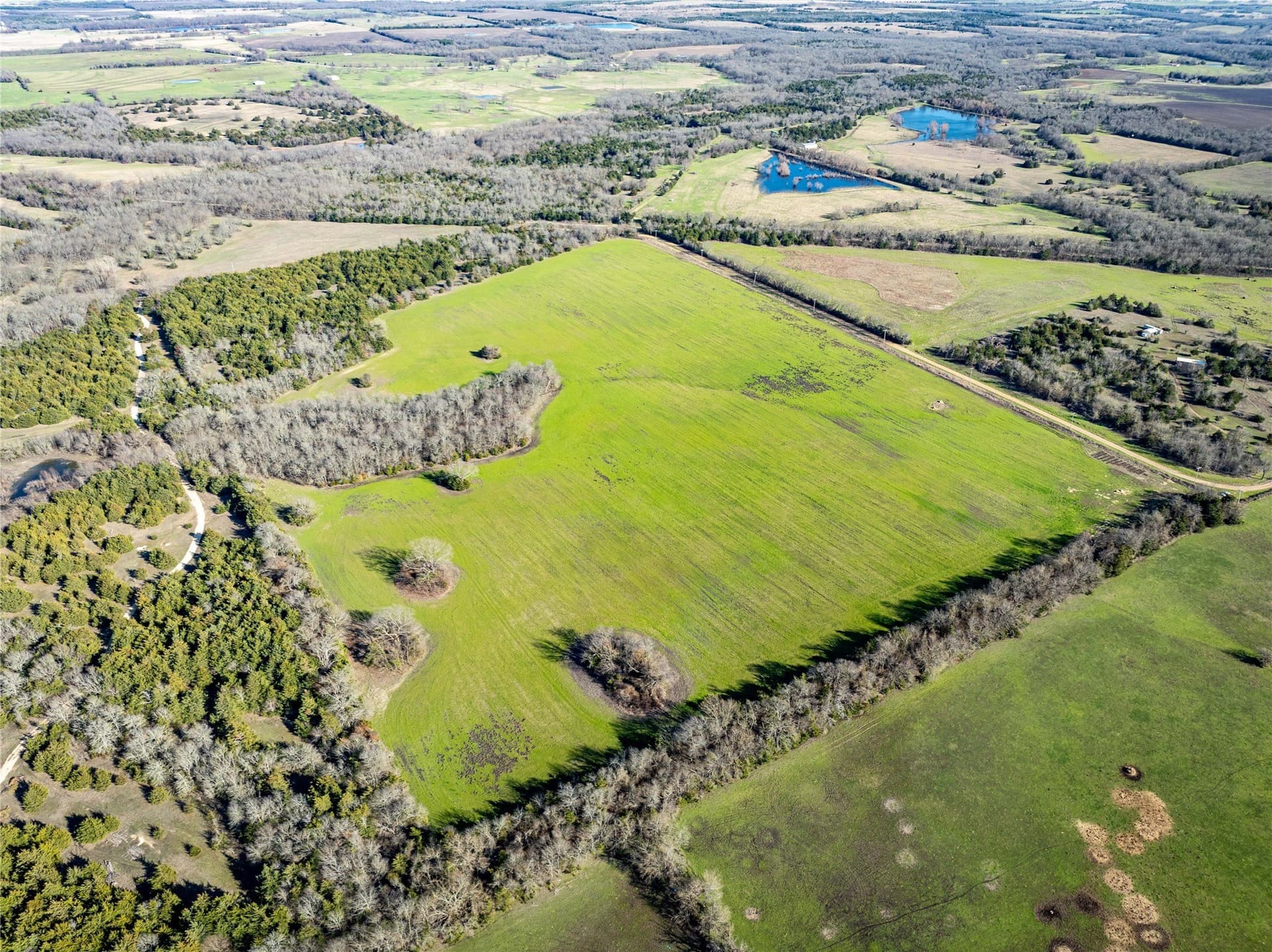 60 acres in Lamar County - photo 5