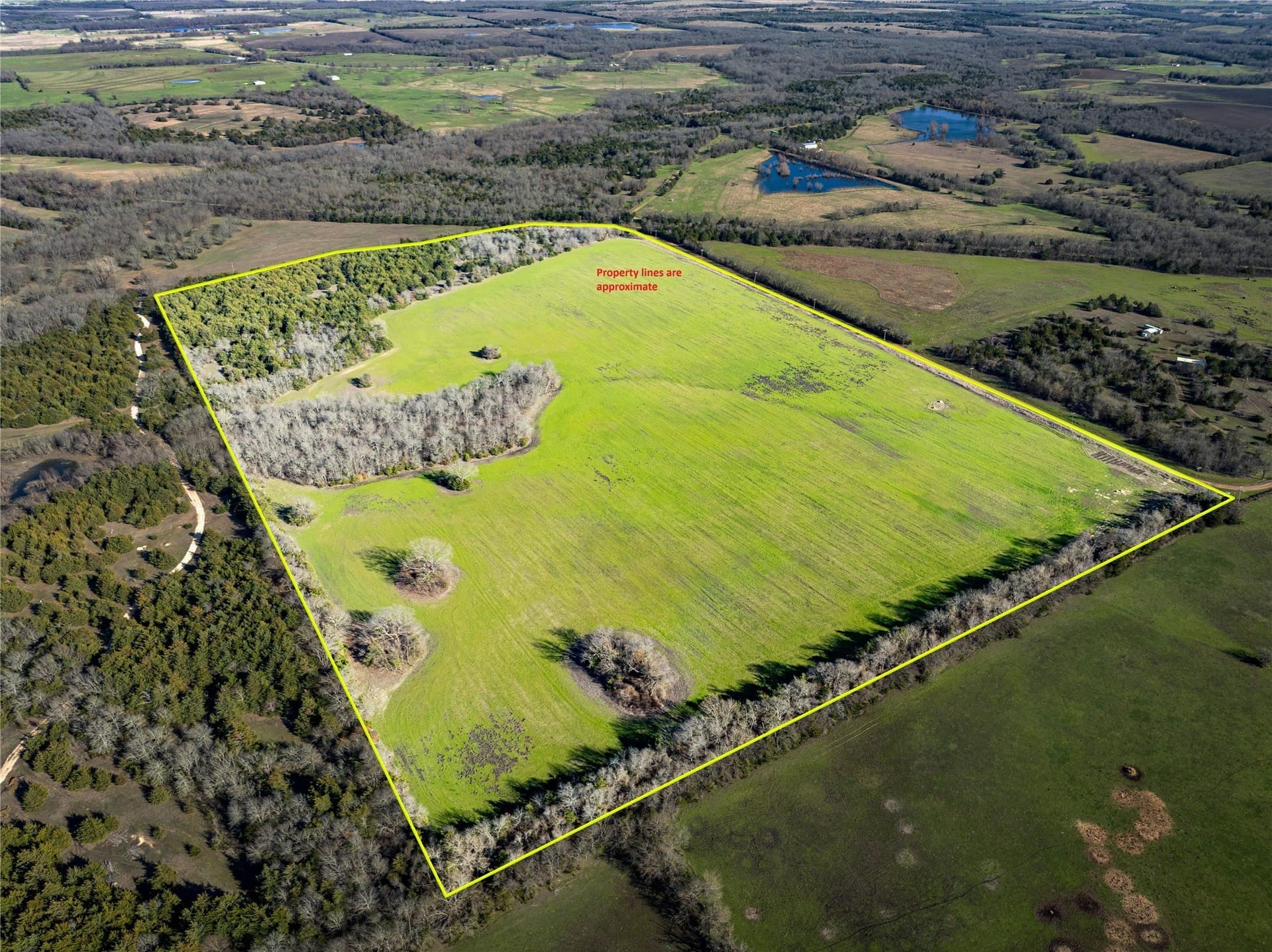 60 acres in Lamar County - photo 22