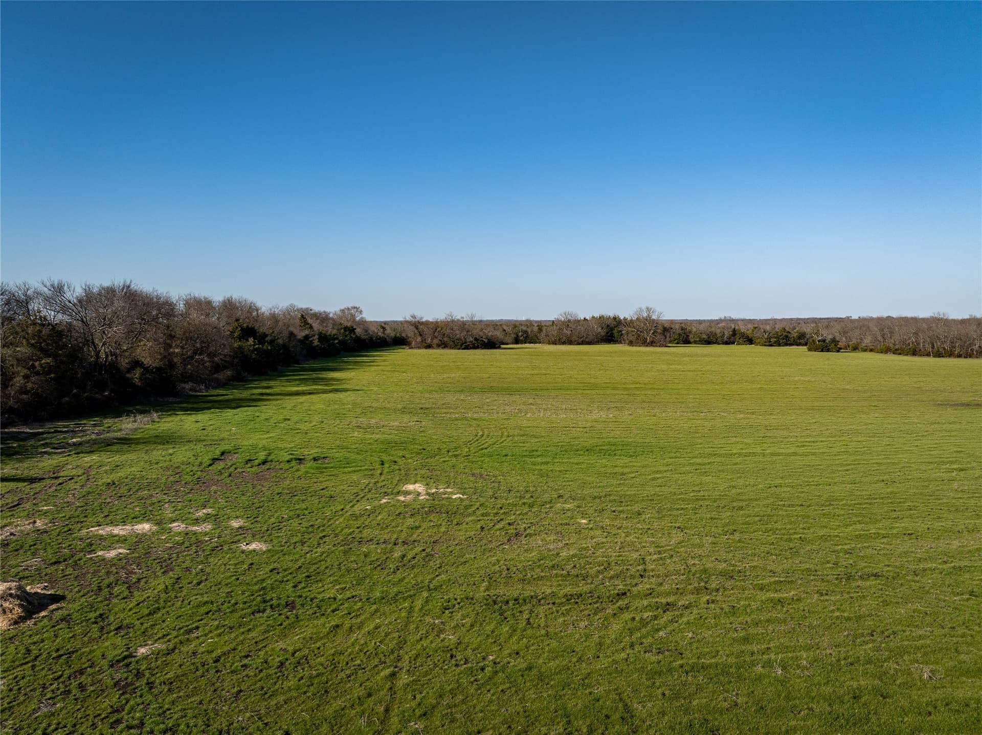 60 acres in Lamar County - photo 19
