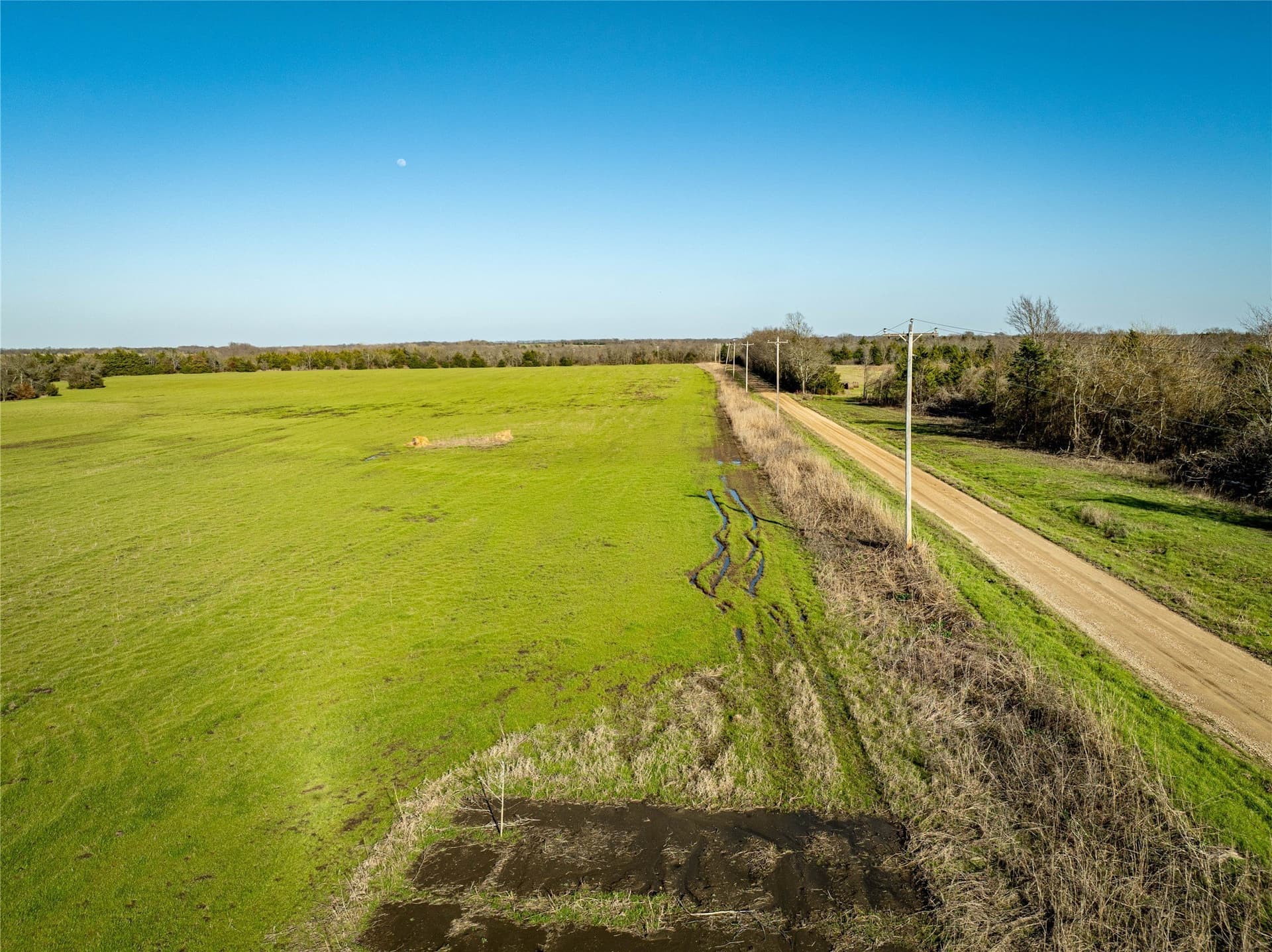 60 acres in Lamar County - photo 18