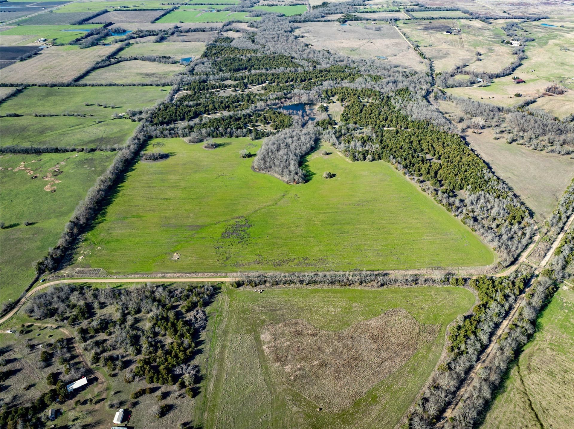 60 acres in Lamar County - photo 7