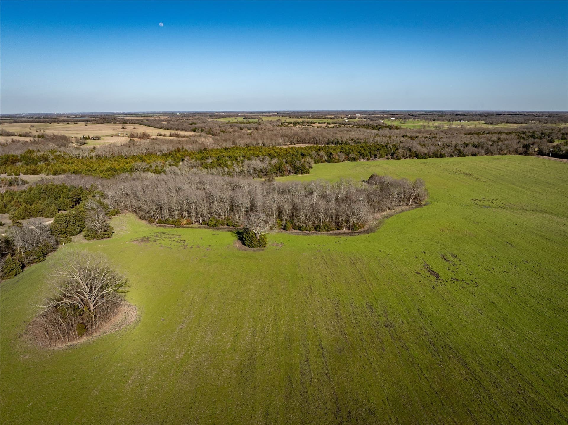 60 acres in Lamar County - photo 16