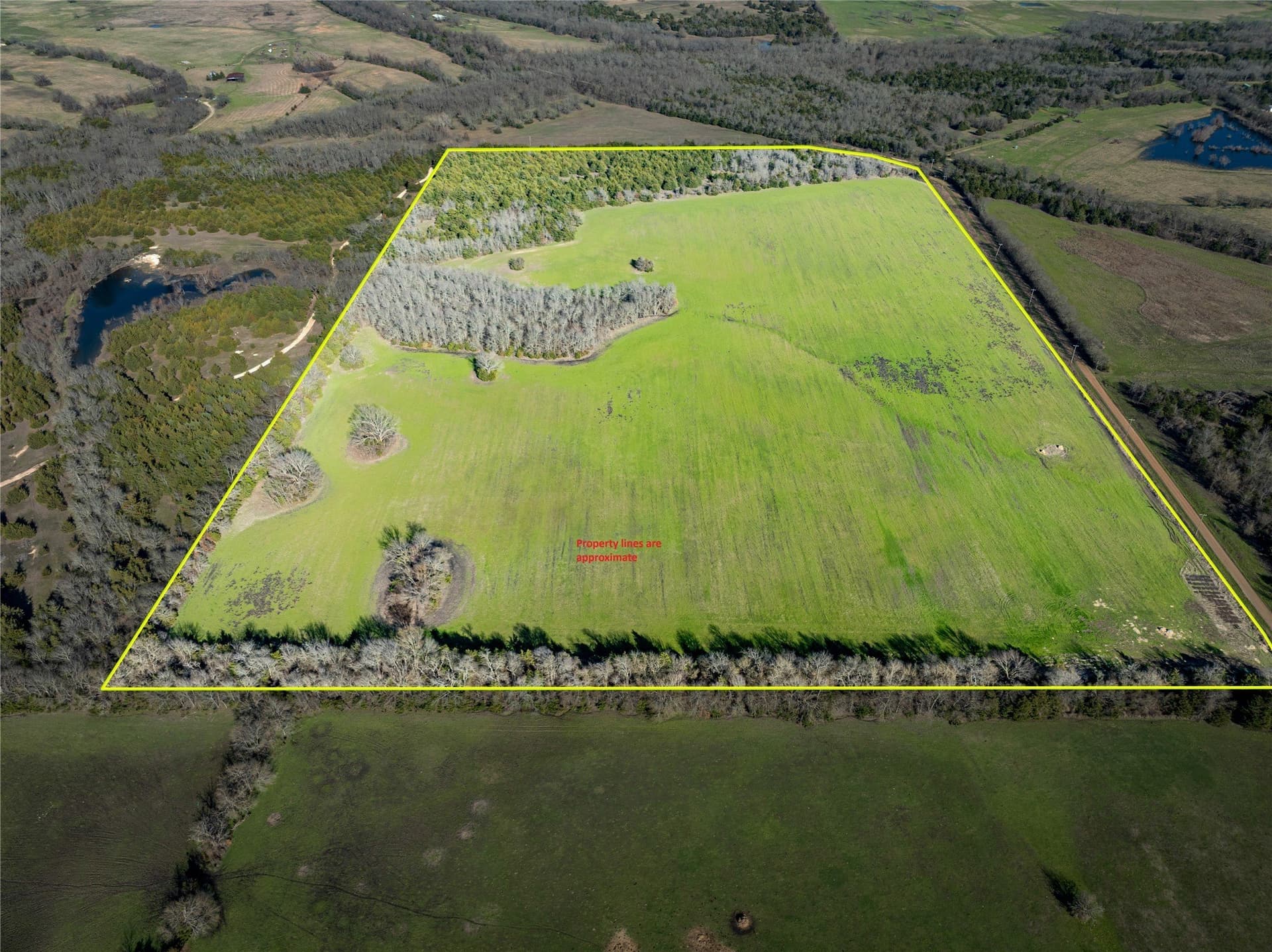60 acres in Lamar County - photo 4