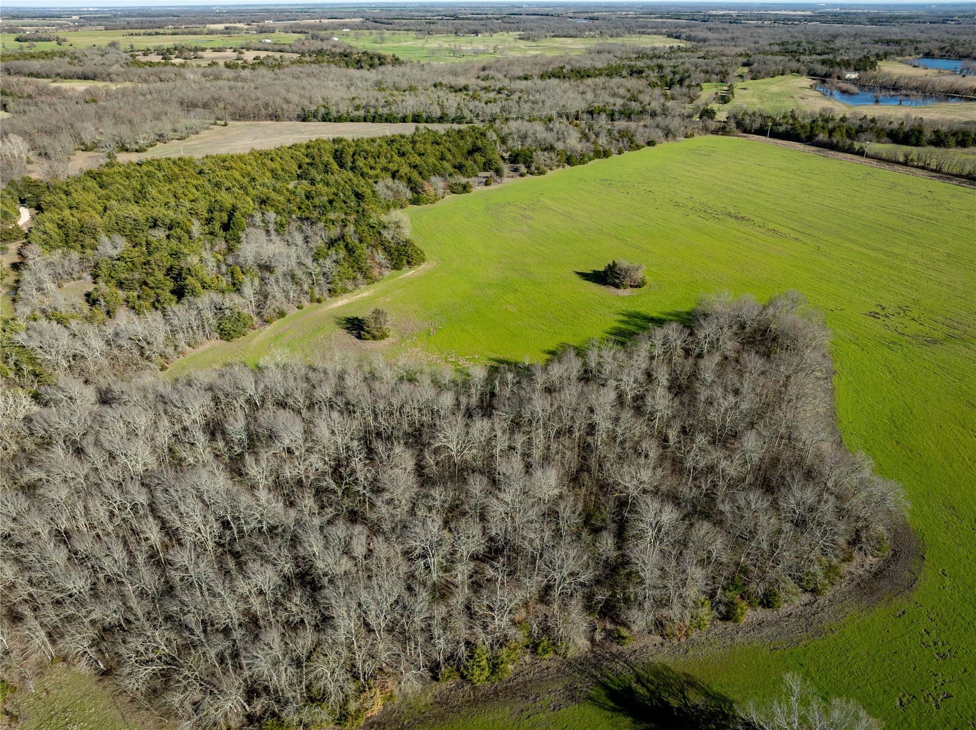 60 acres in Lamar County - photo 15