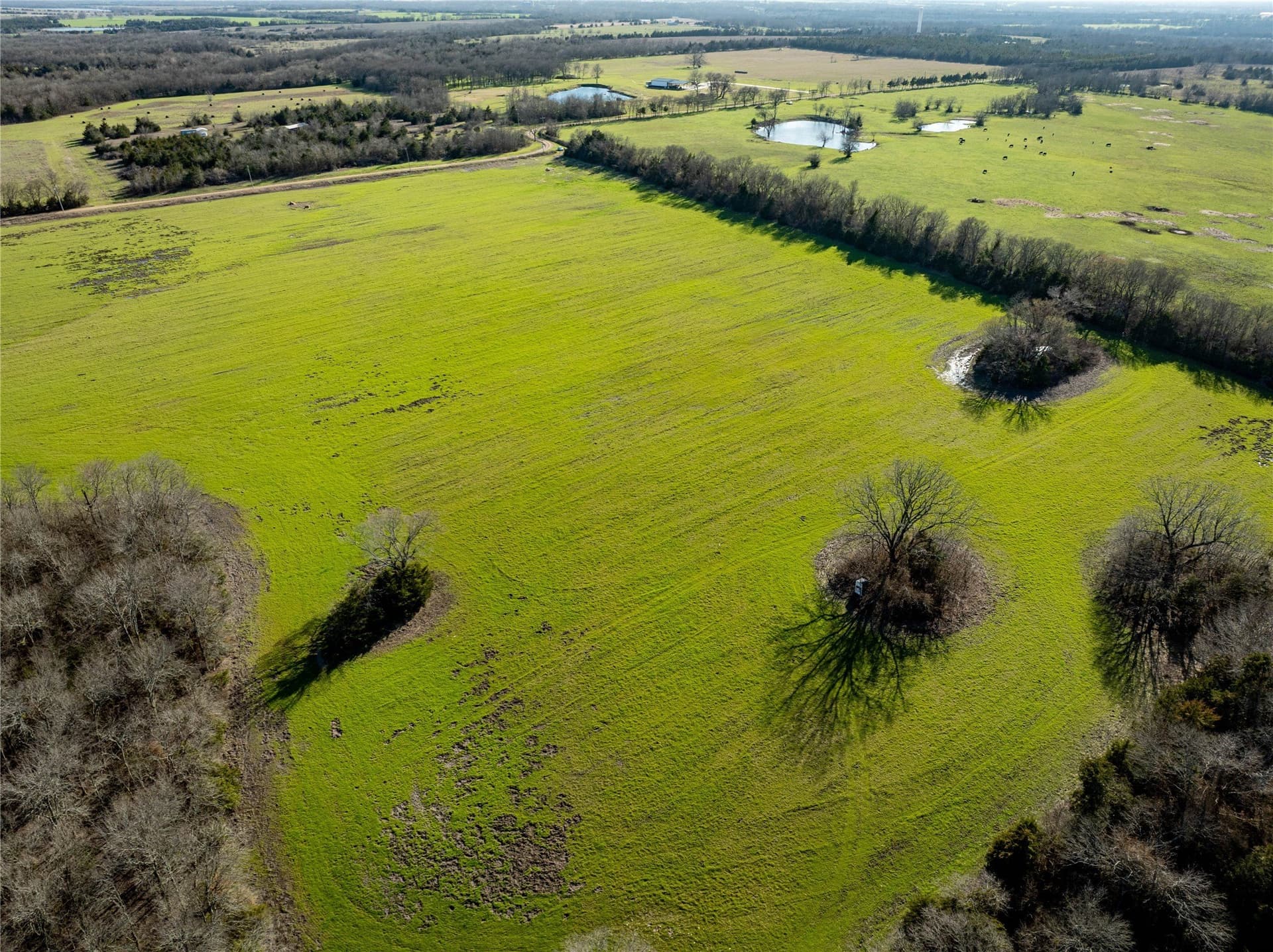 60 acres in Lamar County - photo 14