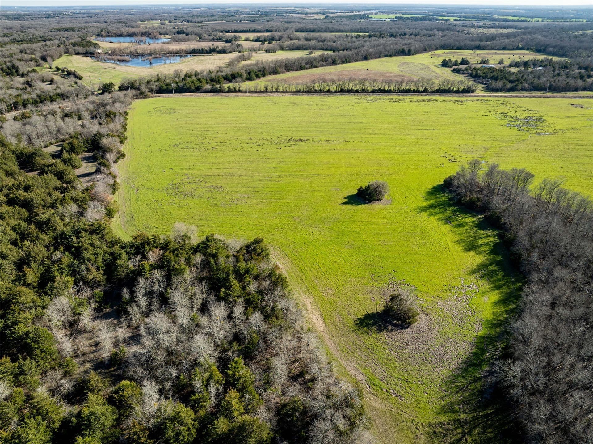 60 acres in Lamar County - photo 13