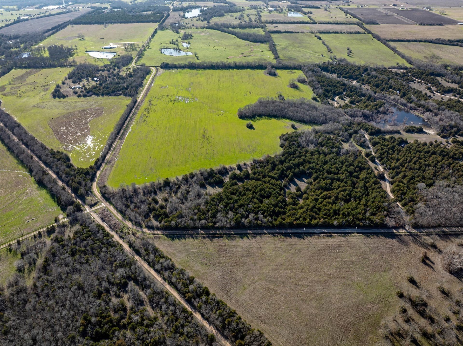 60 acres in Lamar County - photo 6