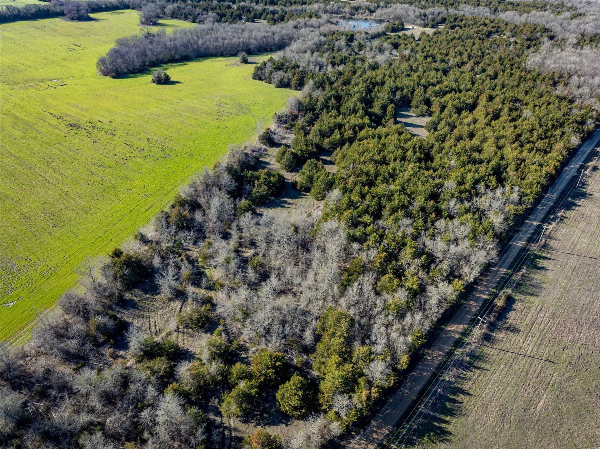 60 acres in Lamar County - photo 9