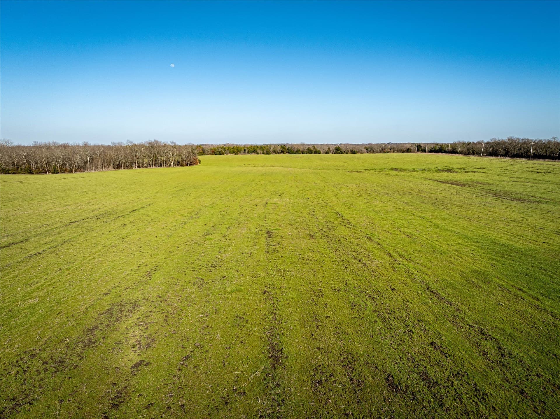 60 acres in Lamar County - photo 17