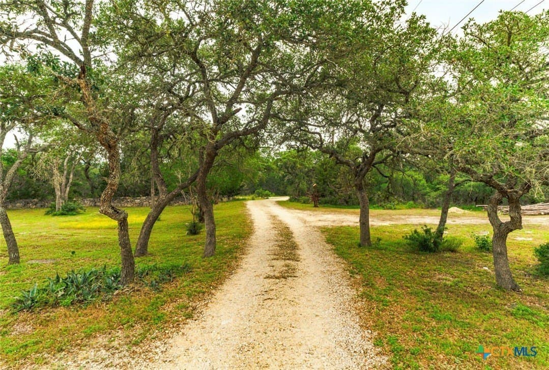 12 acres in Hays County featured view