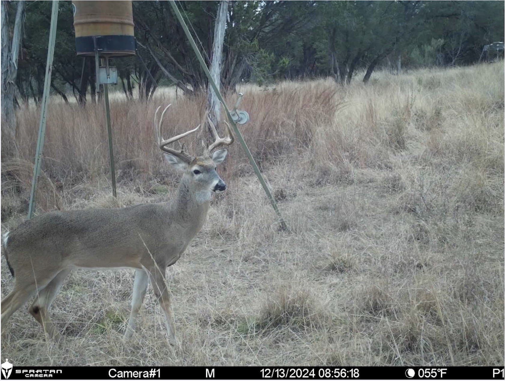 105.05 acres in Hood County - photo 21
