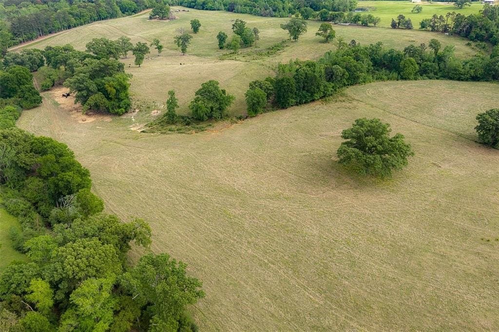 61.89 acres in Cherokee County gallery image 2