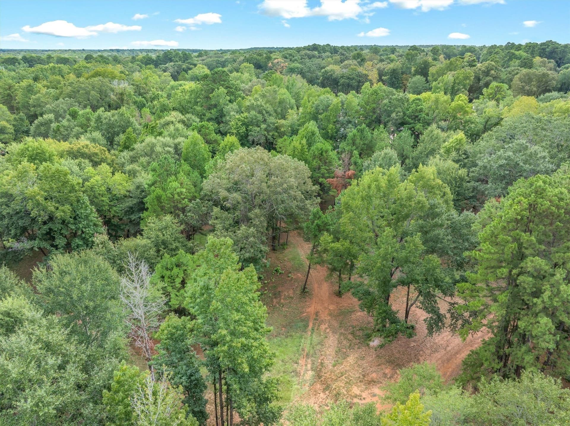 14.3 acres in Smith County - photo 10