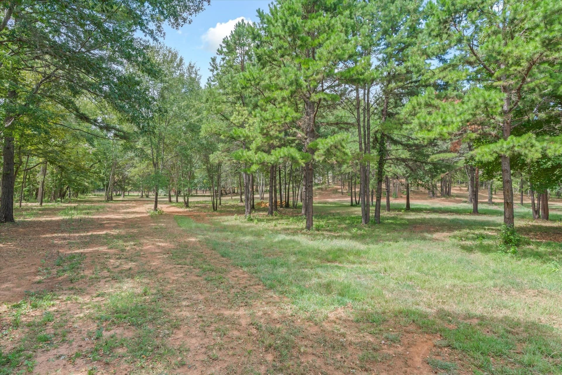 14.3 acres in Smith County - photo 11