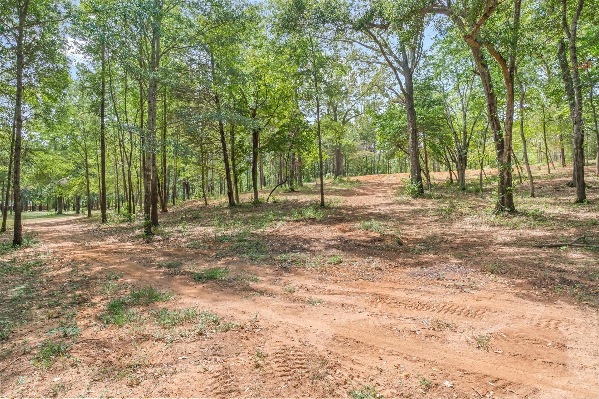 14.3 acres in Smith County