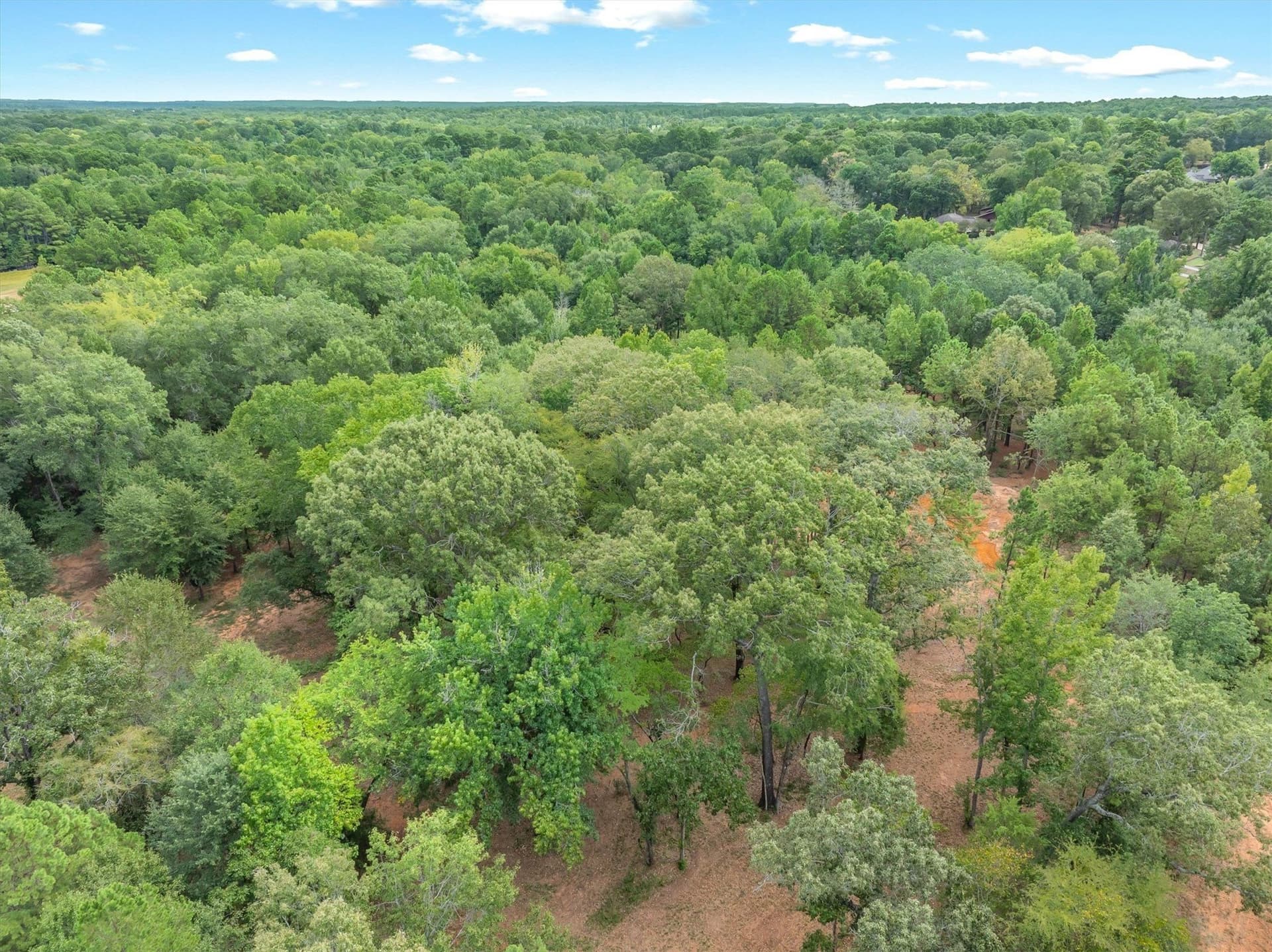 14.3 acres in Smith County - photo 9