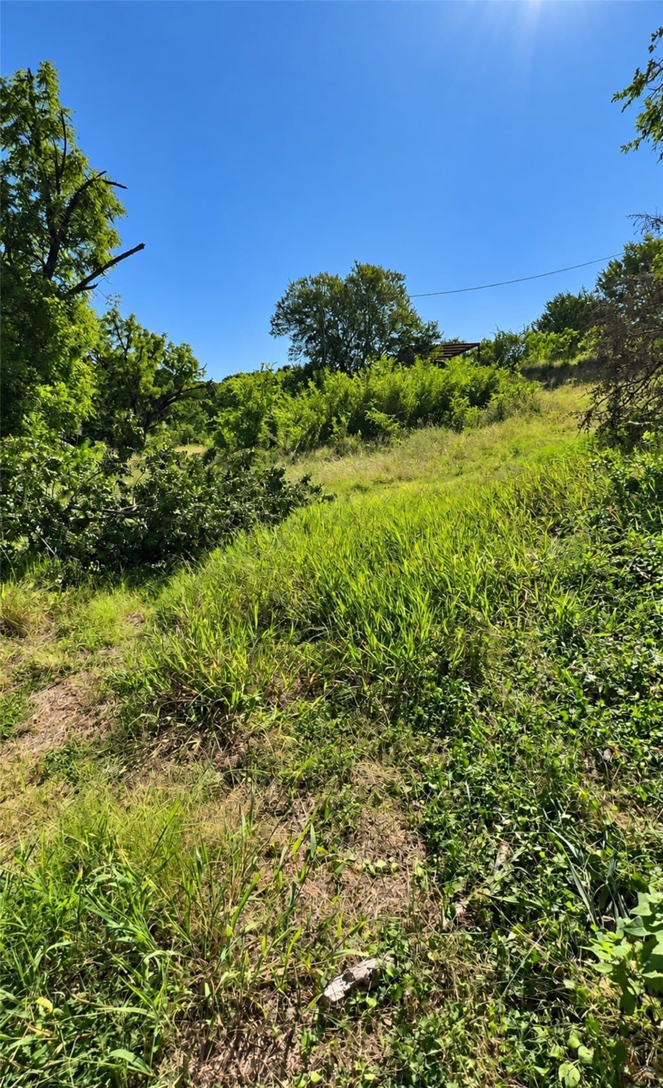 1.5 acres in Parker County