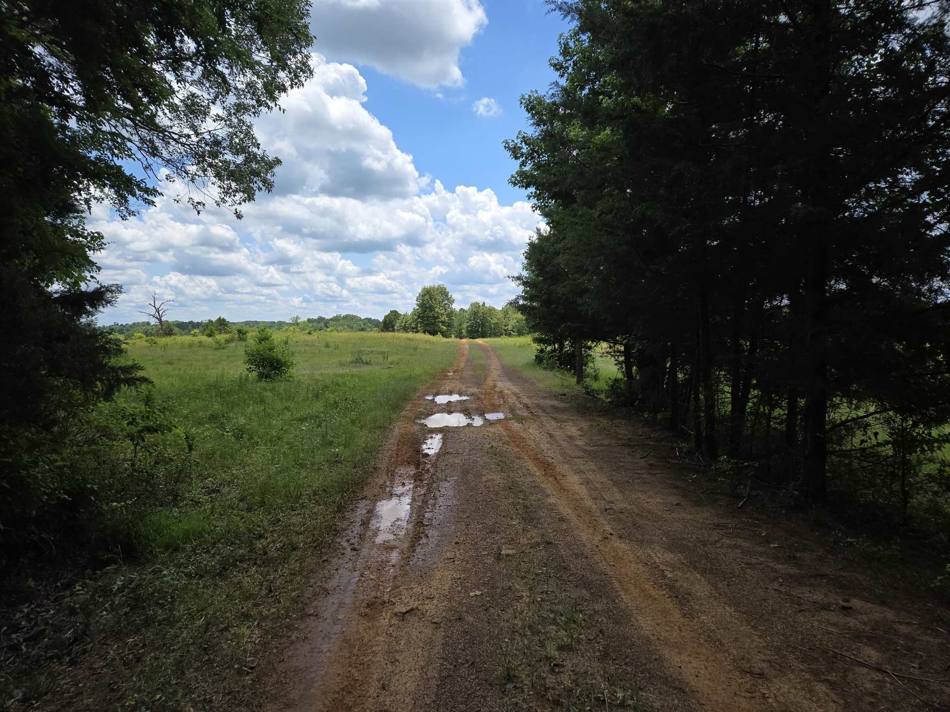 35.49 acres in Texas County - photo 6