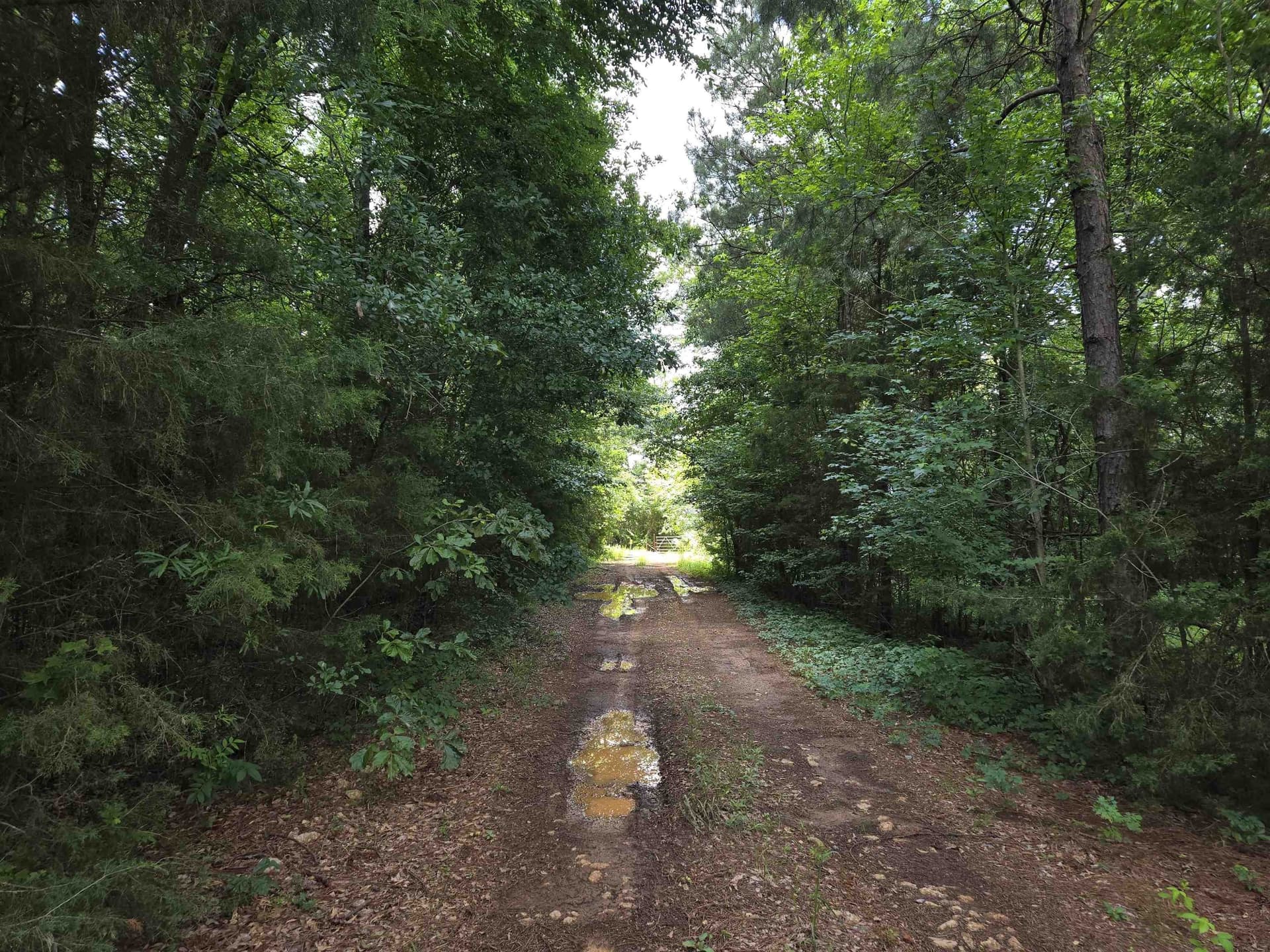 35.49 acres in Texas County featured view