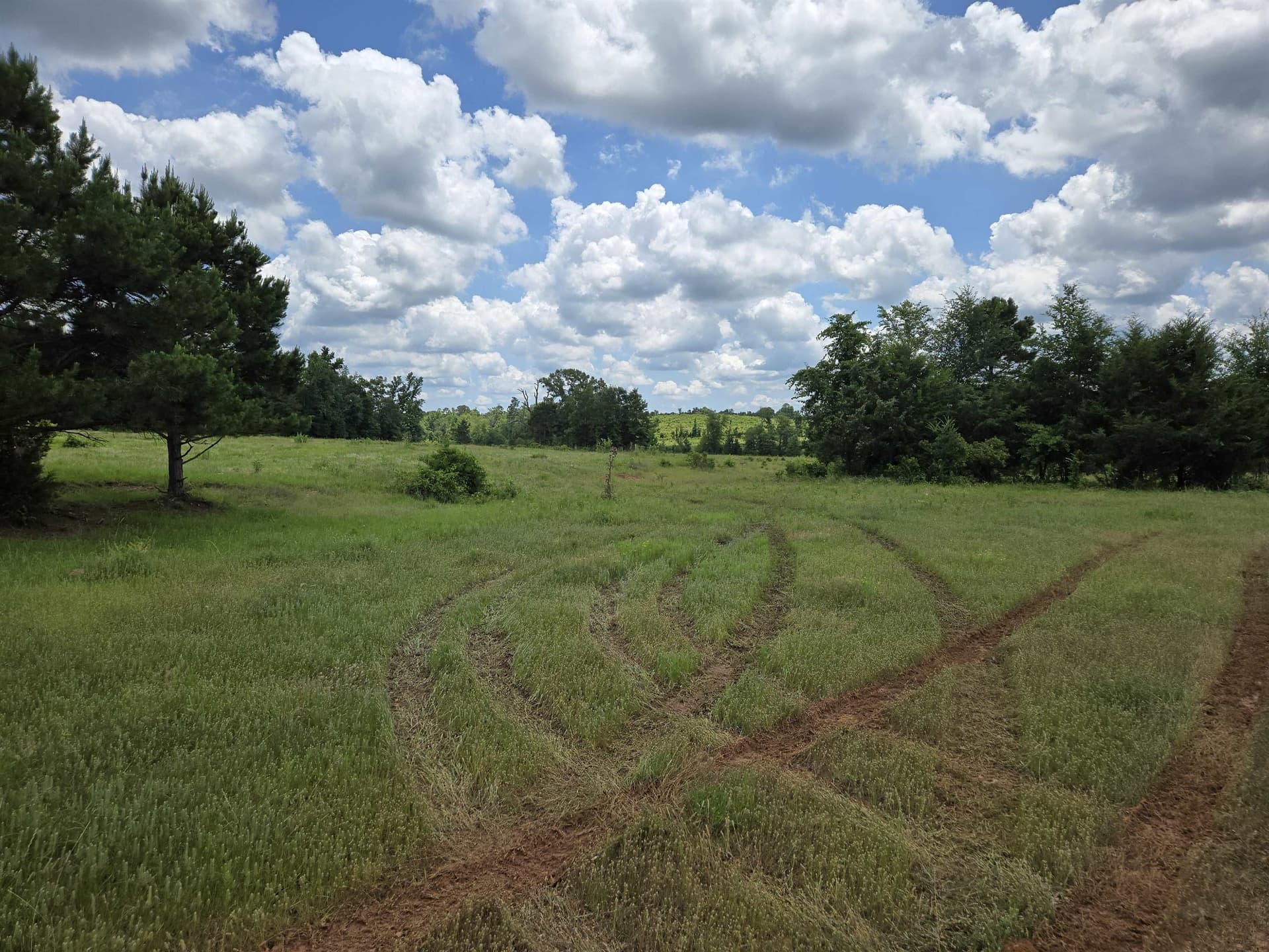 35.49 acres in Texas County - photo 9