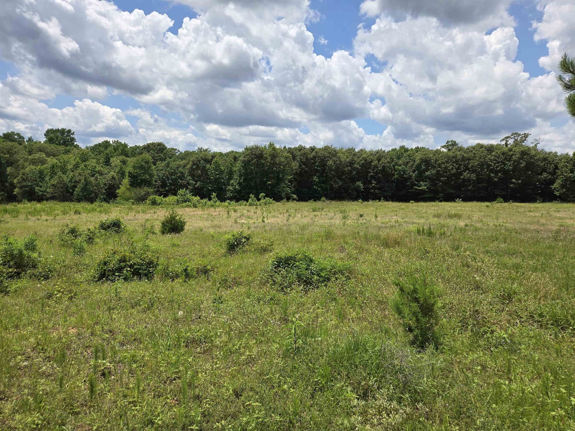 35.49 acres in Texas County - photo 11
