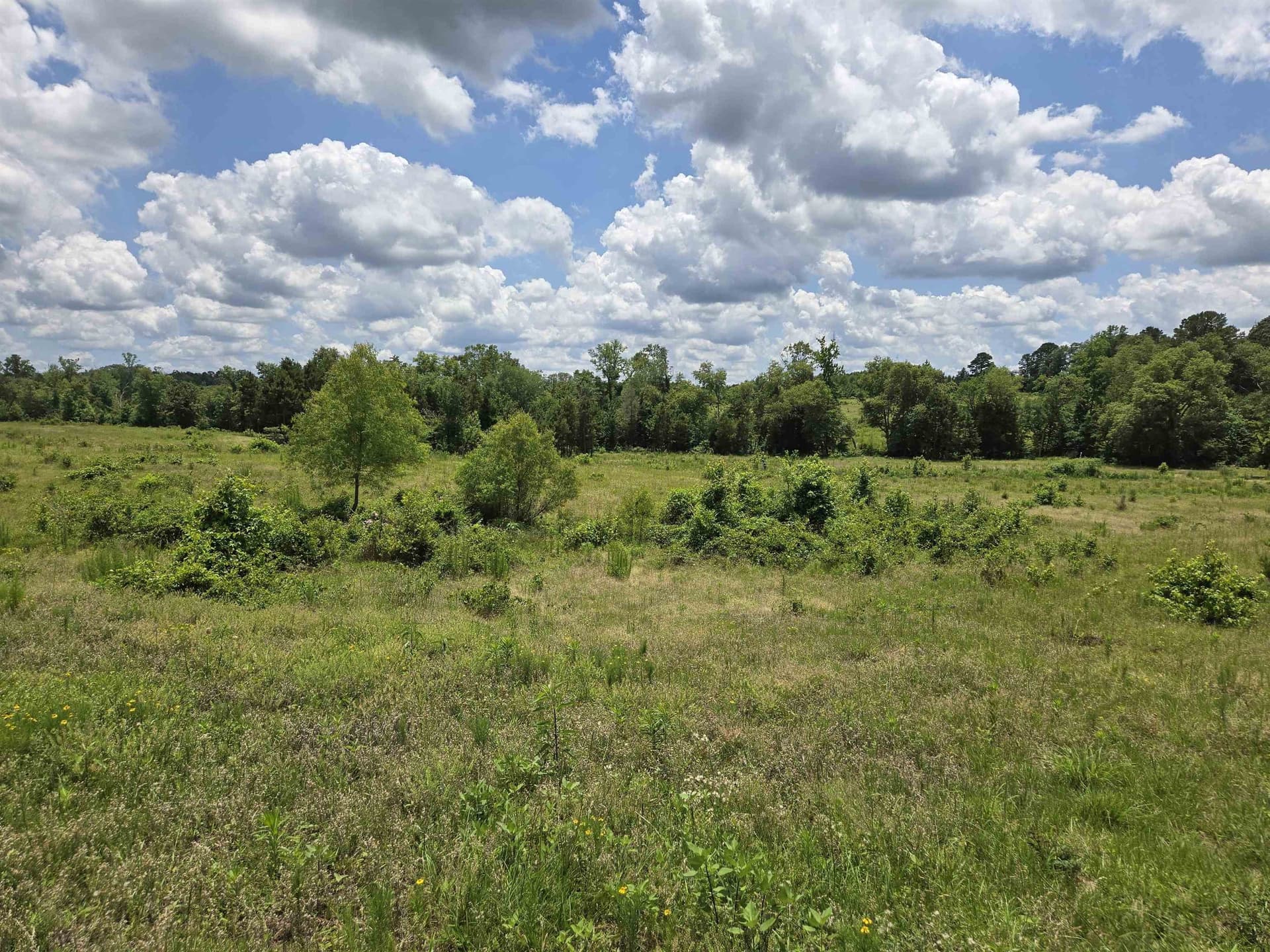 35.49 acres in Texas County - photo 14