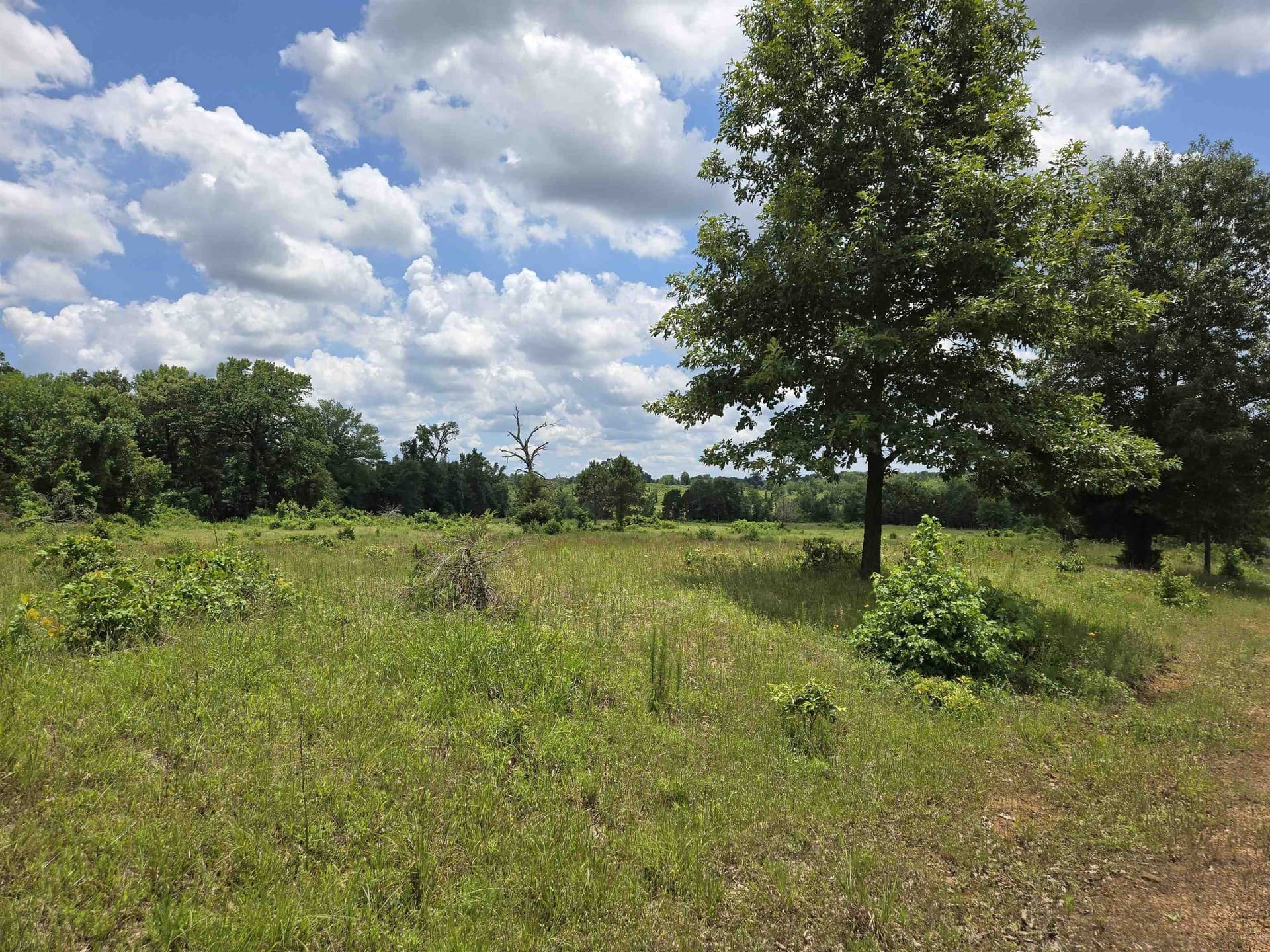 35.49 acres in Texas County - photo 8