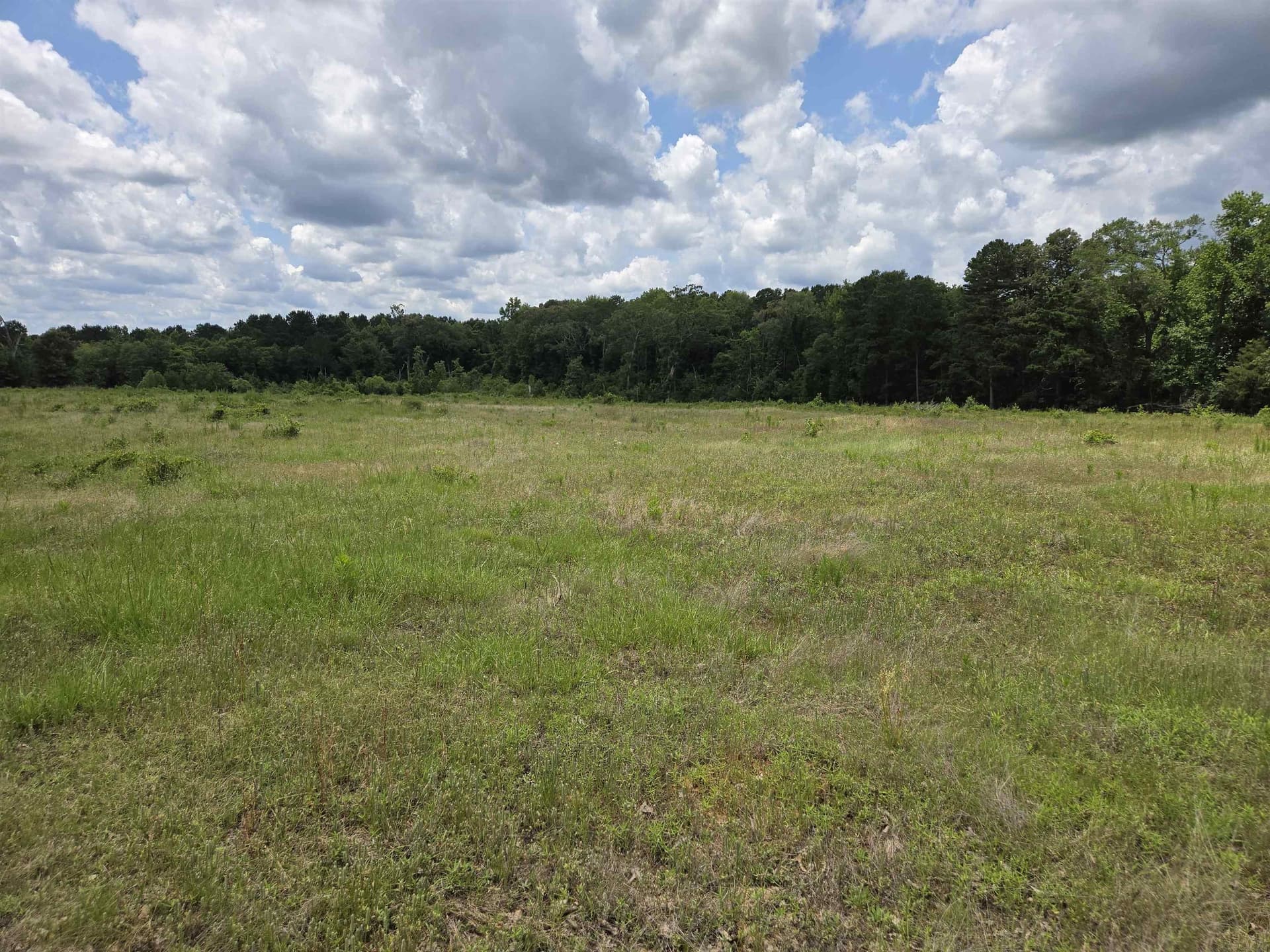 35.49 acres in Texas County - photo 13