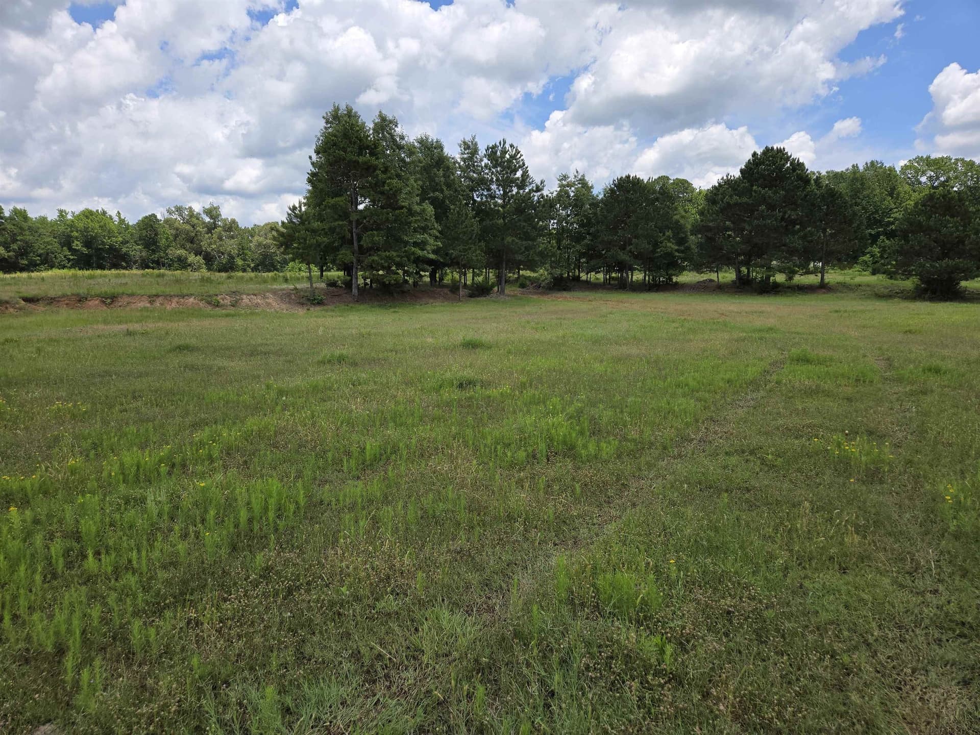 35.49 acres in Texas County - photo 10