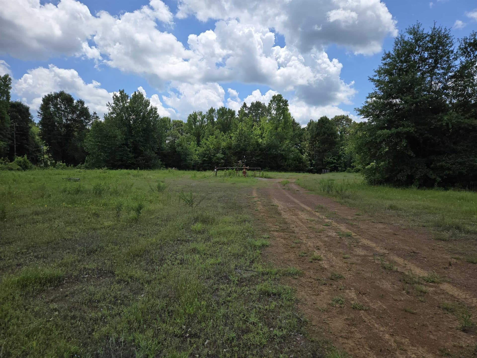 35.49 acres in Texas County gallery image 3
