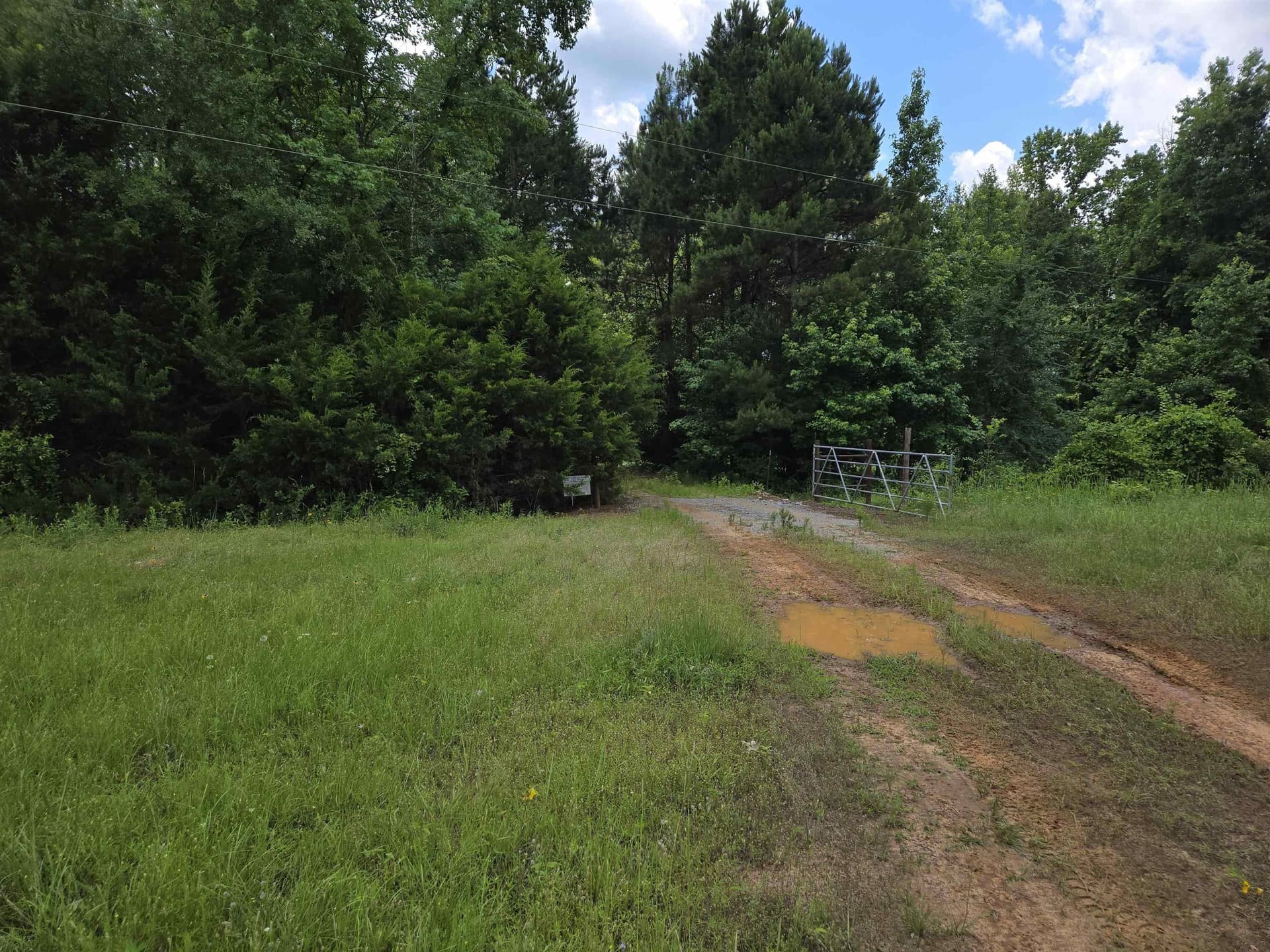 35.49 acres in Texas County gallery image 4