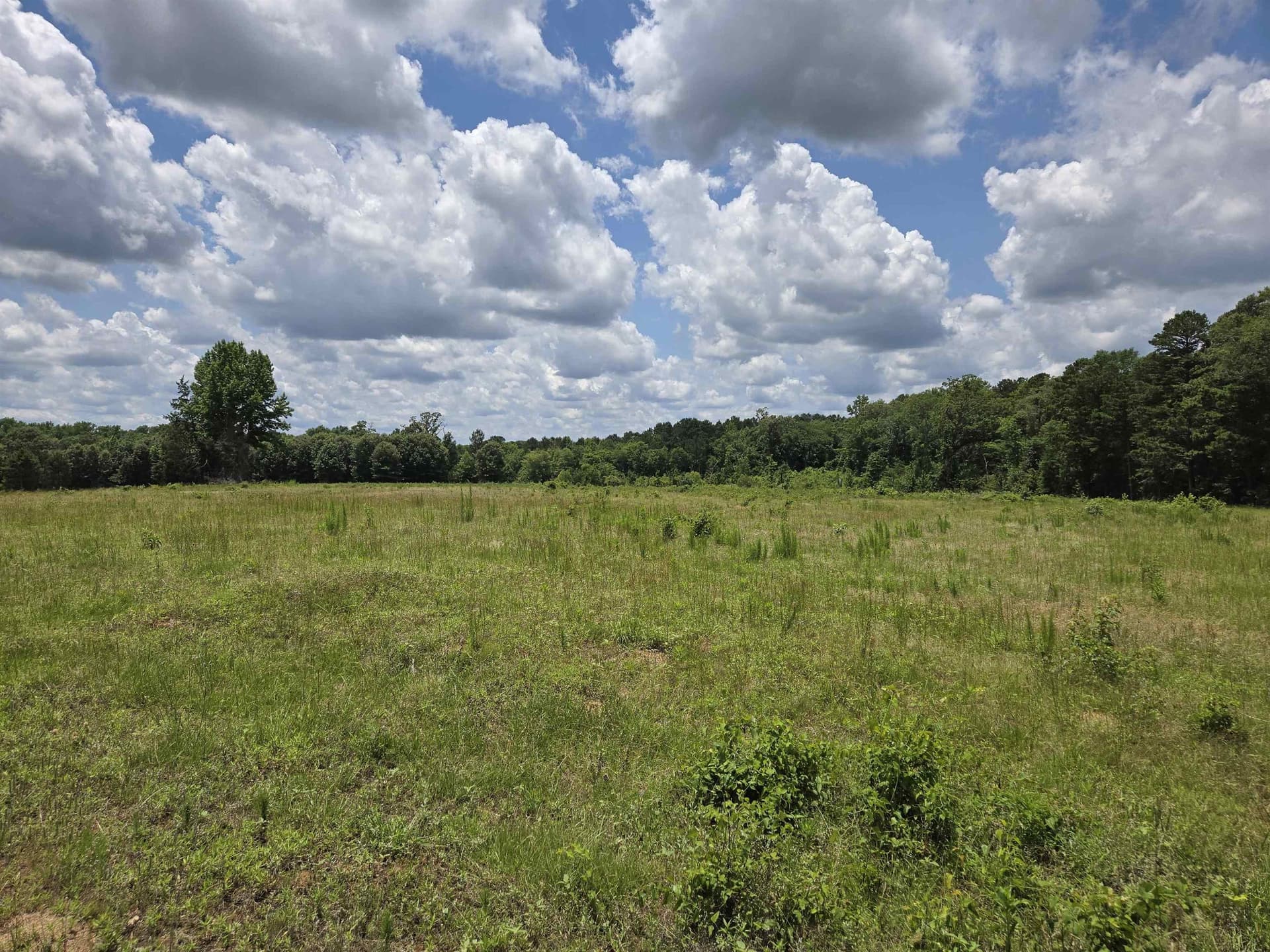 35.49 acres in Texas County