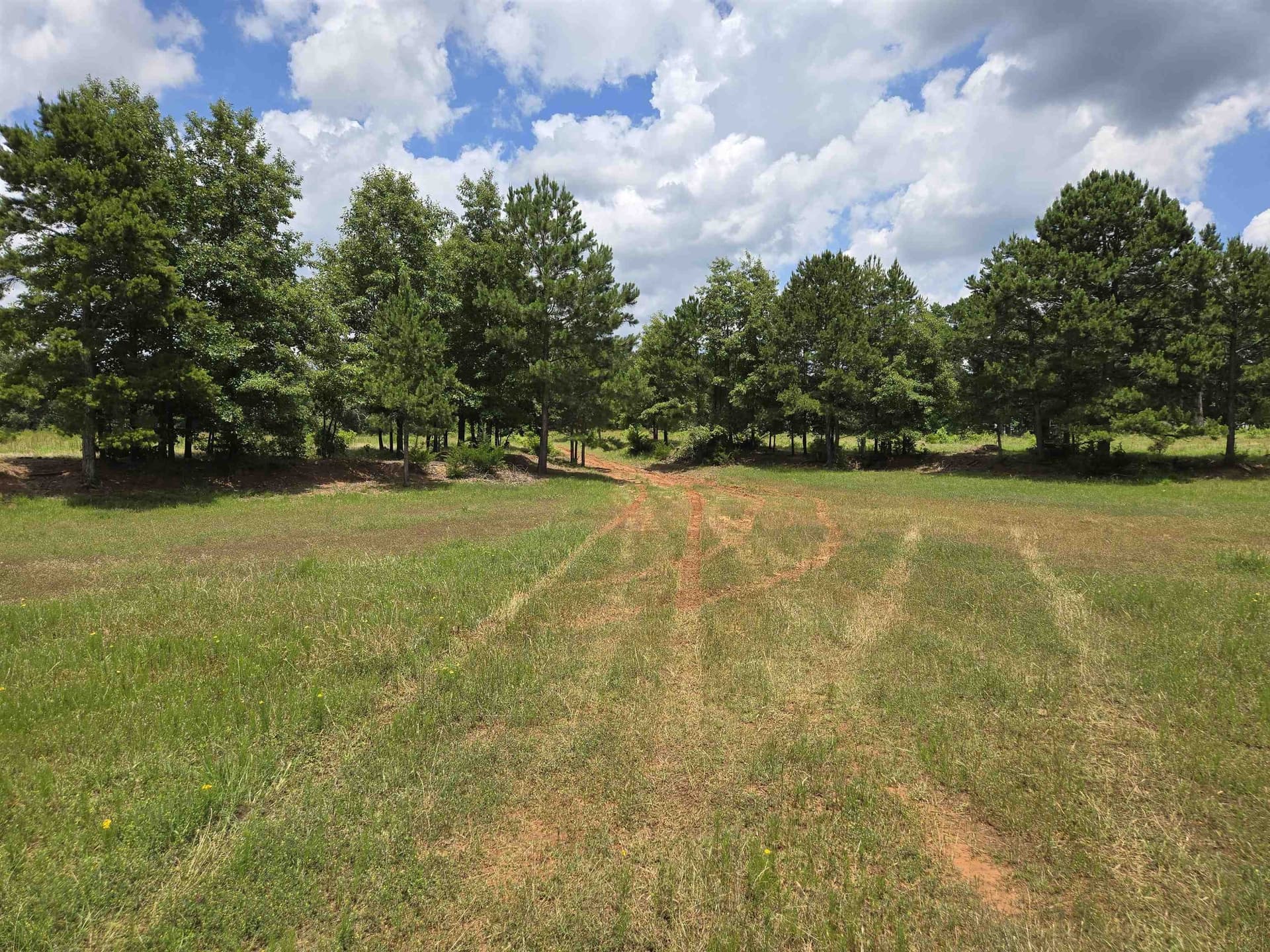35.49 acres in Texas County - photo 12