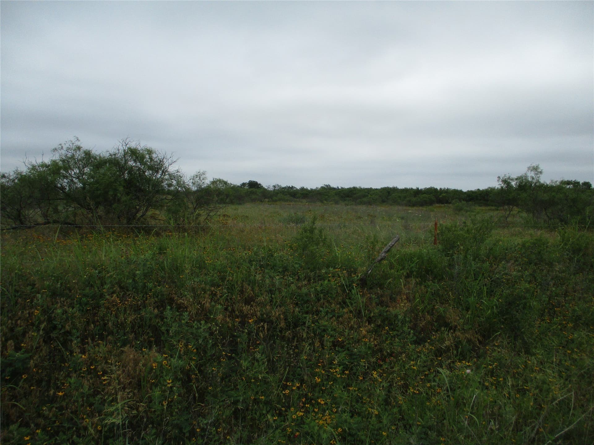 13.64 acres in Clay County featured view