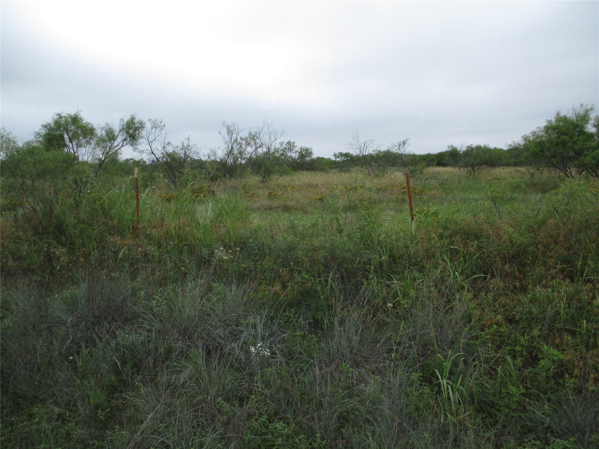 13.64 acres in Clay County - photo 6