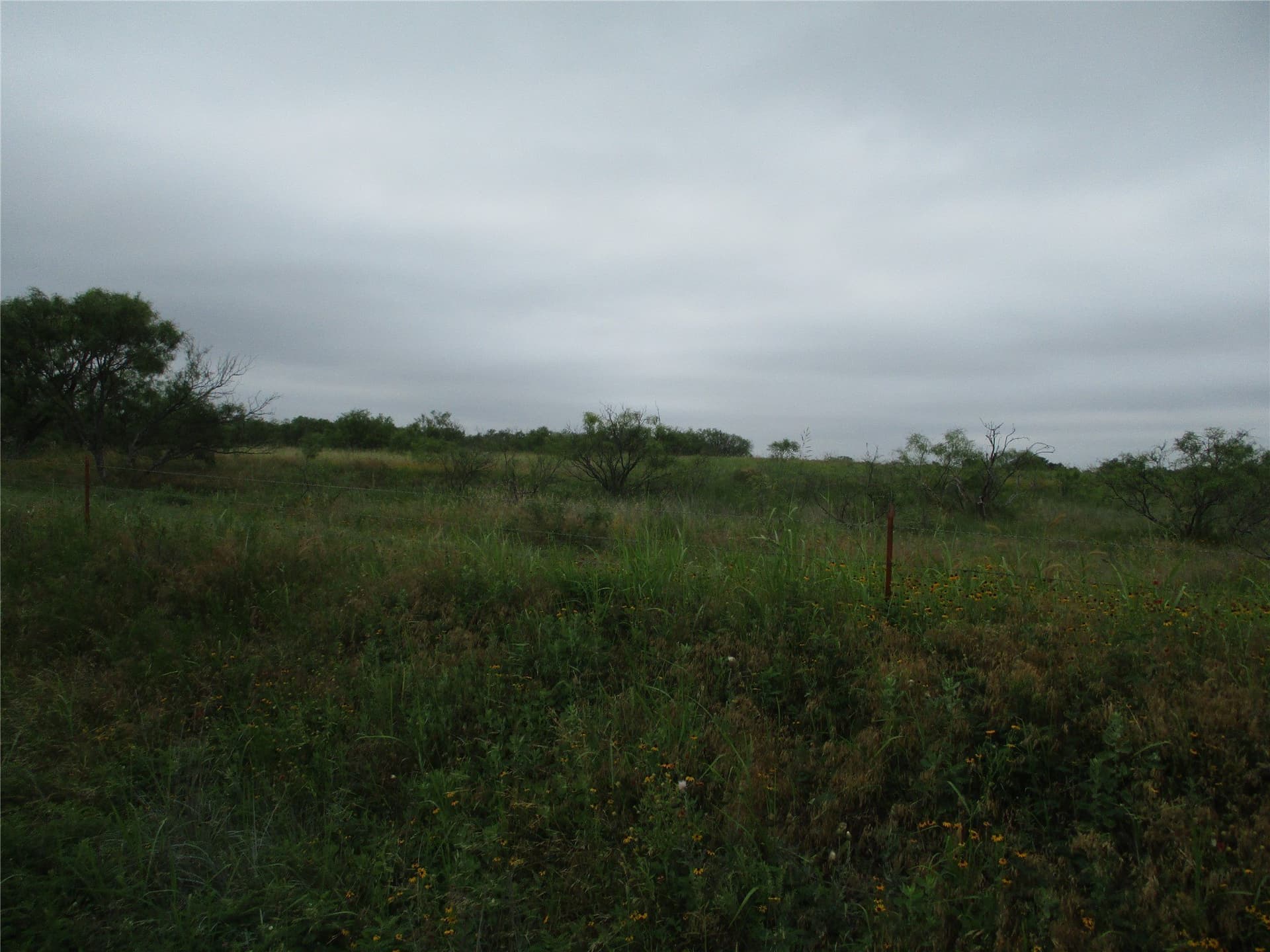 13.64 acres in Clay County gallery image 4