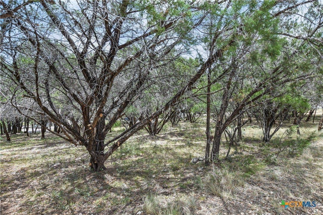 0.24 acres in Travis County featured view