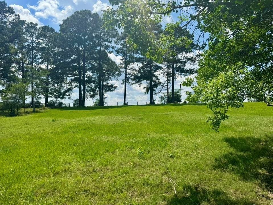 12.76 acres in Texas County - photo 8