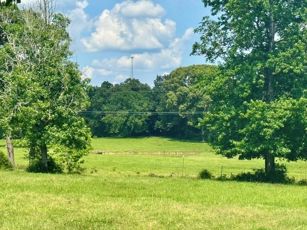 12.76 acres in Texas County - photo 10