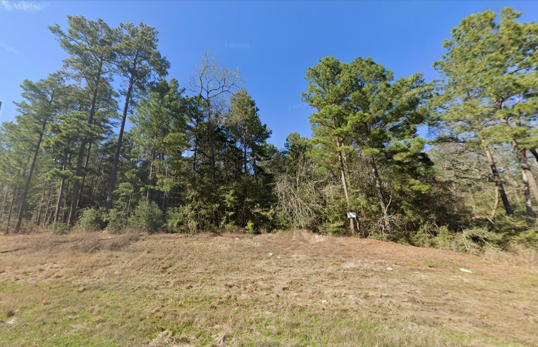 2 acres in Walker County - photo 2