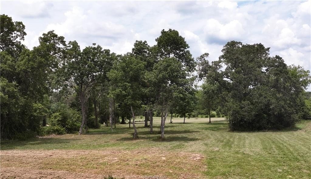 2.26 acres in Grimes County - photo 15