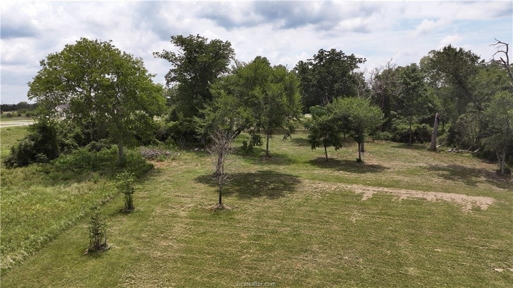 2.26 acres in Grimes County gallery image 4