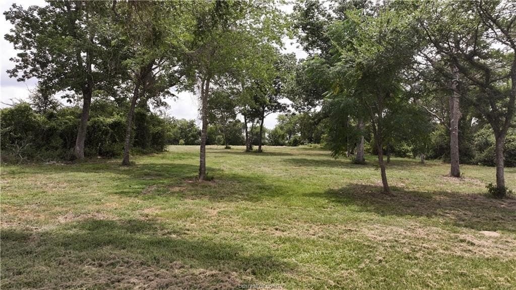 2.26 acres in Grimes County - photo 7