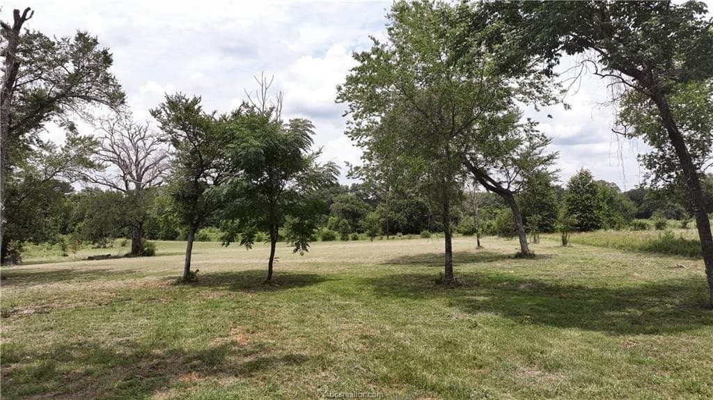 2.26 acres in Grimes County featured view