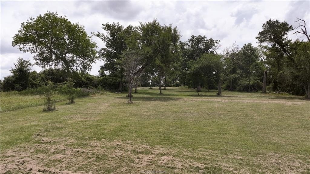 2.26 acres in Grimes County - photo 6