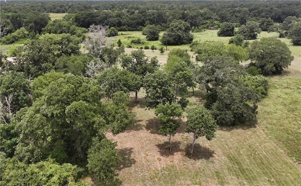 2.26 acres in Grimes County - photo 14
